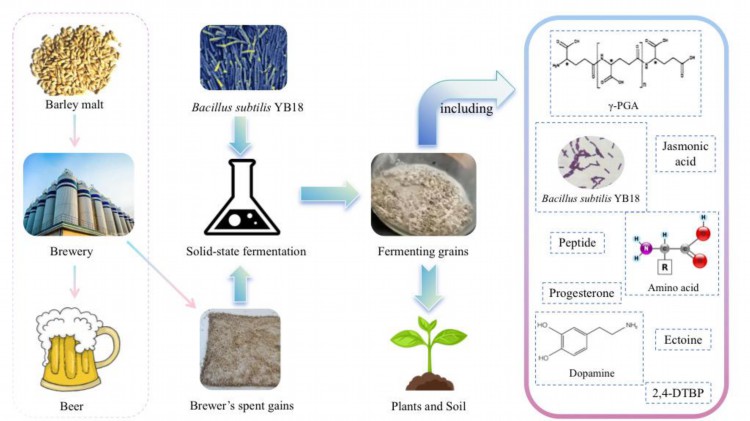 米乐(中国)生物工程学院刘军教授团队在国际权威期刊《Bioresource Technology》上发表研究论文1.jpg